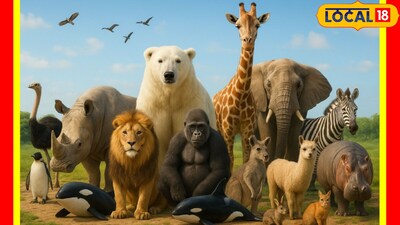 विशाखापत्तनम चिड़ियाघर में 1200 रुपये में हाथी गोद लें: किफायती पशु गोद लेने का कार्यक्रम