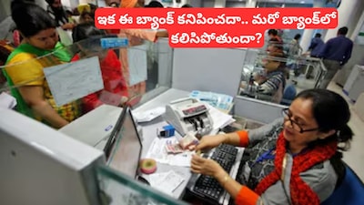 Bank Merger: ఇకపై ఈ 2 బ్యాంకులు ఉండవా?కేంద్రం సంచలన నిర్ణయం? ఒకదానితో మరొకటి విలీనం!