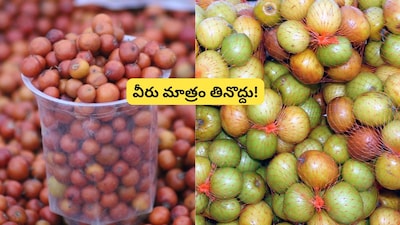 सर्दियों का पसंदीदा फल बेर: किसे खाना चाहिए और किसे नहीं? जानें पूरी जानकारी.