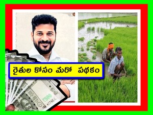 Telangana Farm Mechanization Scheme: త్వరలో మున్సిపల్ ఎన్నికలు వస్తుండటంతో.. తెలంగాణ ప్రభుత్వం రైతుల్ని ఆకర్షించేందుకు భారీ ప్లాన్‌తో వచ్చింది. ఇది రైతులకు ఎంతో మేలు చెయ్యనుంది. దీన్ని రైతులు ఉపయోగించుకోవడం ద్వారా భారీగా లభాలు పొందగలరు. పూర్తి వివరాలు ఇలా ఉన్నాయి.