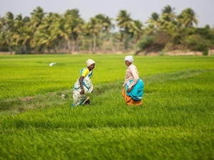 Subsidy: రైతులకు రూ.1.95 లక్షల కోట్లు.. మోదీ ప్రభుత్వం భారీ గుడ్ న్యూస్?