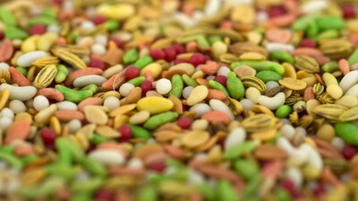 Fennel and Cumin: The Secret Behind Post-Meal Digestion and Fresh Breath