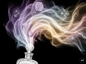 Silent Toxins Lurking in Your Home: From Shampoo to Cookware