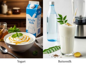 दही या छाछ: पाचन के लिए क्या है बेहतर? जानें विशेषज्ञों की राय.