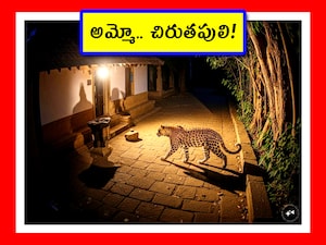 ప్రతీకాత్మక చిత్రం