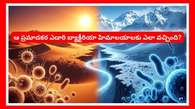 Himalayas Desert Bacteria: ఒక ఎడారి బ్యాక్టీరియా ఇప్పుడు భారతదేశాన్ని హడలెత్తిస్తోంది. ఇది మరో కరోనా లాగా అవుతుందా అనే టెన్షన్స్ ఉన్నాయి. అసలు ఆ బ్యాక్టీరియా ఎలాంటిది? అది హిమాలయాలకు ఎలా వెళ్లింది? దాని వల్ల కలగబోతున్న ముప్పేంటి?