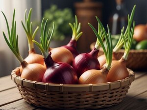 अंकुरित प्याज: क्या खाना सुरक्षित है? जानें सच्चाई और सावधानियां.