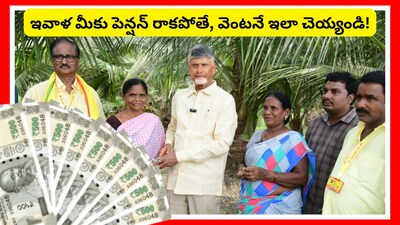 ఏపీలో జోరుగా పెన్షన్ పంపిణీ