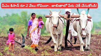 PM Kisan Money: ఈసారి పీఎం కిసాన్ రూ.2 వేలు మీకు వస్తాయా.. రావా? 30 లక్షల మంది రైతుల పేర్లు తొలగింపు, లిస్ట్‌లో పేరు చెక్ చేసుకోండిలా!