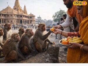 अयोध्या के बंदरों का रहस्य उजागर: चौंकाने वाला लिंग असंतुलन सामने आया!