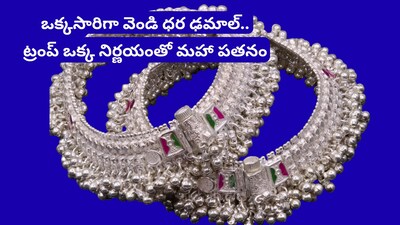 Silver Price Crash: వెండి ధర మటాష్.. లక్ష రూపాయలకు పైగా పతనమైన సిల్వర్ రేటు.. మార్కెట్‌లో మహా ప్రళయం!   