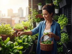 Grow Organic Spinach at Home: Easy Tips for a Bountiful Harvest