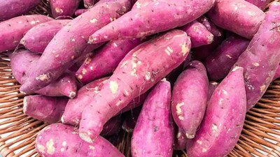 Beware! Chemically Treated Sweet Potatoes Linked to Cancer Risk, FSSAI Warns