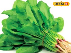 पालक: कई लोगों के लिए स्वस्थ, कुछ के लिए हानिकारक; जानें किसे इससे बचना चाहिए