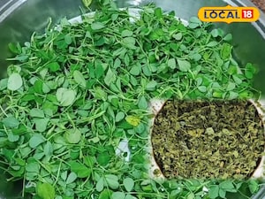 मेथी स्टोर करने के आसान तरीके: साल भर ताज़ी रखें यह आयरन से भरपूर हरी सब्ज़ी!