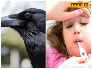 तमिलनाडु में कौवों की मौत से H5N1 बर्ड फ्लू का डर, बच्चों के लिए खतरा