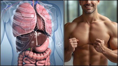 शरीर का सबसे मेहनती अंग: लिवर का महत्व और स्वस्थ रखने के उपाय.