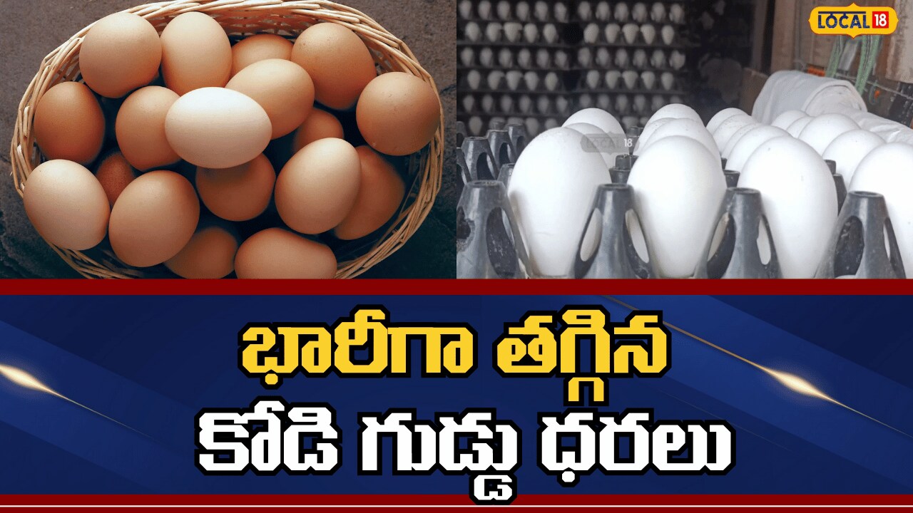 Decline In Chicken Egg Prices | భారీగా తగ్గిన కోడి గుడ్డు ధరలు ...