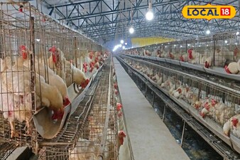 पोल्ट्री फार्मिंग: 9,000 रुपये से 30 करोड़ सालाना तक का सफर, बिहार के किसान की सफलता