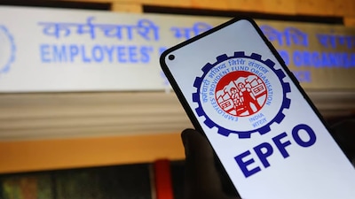 EPFO to Maintain 8.25% Interest Rate for Third Consecutive Year, Relief for Millions
