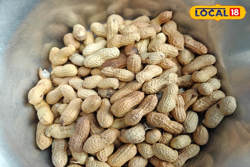 Groundnut
