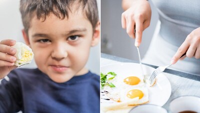 Egg Diet Guide: How Many Eggs Should You Eat Daily Based on Your Age?