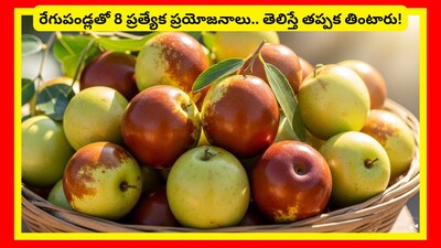Ber Fruit Benefits: ఈ సీజన్‌లో వచ్చే రేగుపండ్లను మనం తప్పక తినాలి. ఇవి ఎంతో రుచిగా ఉండటమే కాదు.. ప్రత్యేక పోషక ప్రయోజనాలను అందిస్తాయి. మరి వీటివల్ల కలిగే అత్యంత అరుదైన ప్రయోజనాలను తెలుసుకుంటే.. తప్పనిసరిగా వీటిని కొనుక్కొని తింటాం. అవేంటో చూద్దాం.