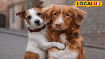 Visakhapatnam's 'Pet Zone' on Beach Road: Your One-Stop Shop for Pet Nutrition!