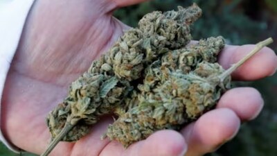 ఫైల్ ఫోటో