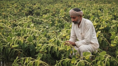 ప్రతీకాత్మక చిత్రం