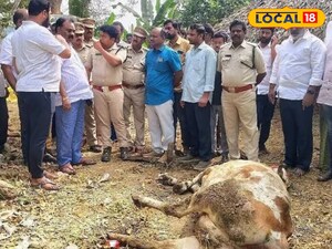 ఏపీలో పెద్దపులి అందరూ చూస్తుండగా పరుగులు పెట్టించిన పెద్దపులి