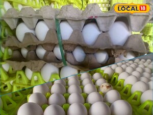 గుడ్లు మింగేస్తున్నారు...