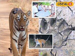 కంటికి కునుకు లేకుండా చేస్తున్నా పులి సంచారం