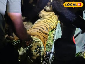 విశాఖ జూ పార్కుకు చేరిన పెద్దపులి