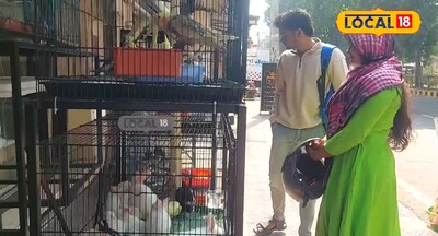 విశాఖలో పెట్ జోన్ ఎక్కడనో తెలుసా..! రాబిట్స్, చిన్న కోడి పిల్లలు, చిన్న ఎలక పిల్