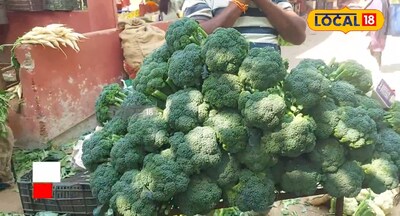 కాస్ట్లీ బ్రోకలీ ఇక వెరీ చీప్.. కాలిఫ్లవర్ తో సమానంగా బ్రోకలీ అమ్మకాలు..