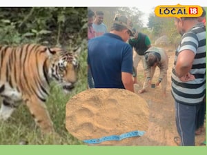 పెద్దపులి సంచరిస్తున్నట్లు ఆనవాళ్లను పరిశీలిస్తున్న ఫారెస్ట్ పోలీస్ అధికారులు