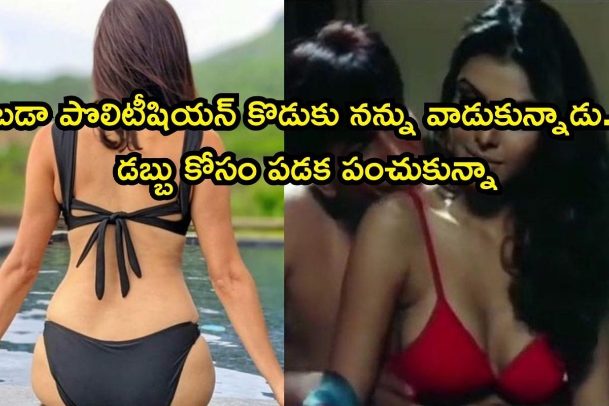 Telugu Heroine: బడా పొలిటీషియన్ కొడుకు నన్ను వాడుకున్నాడు.. తెలుగు హీరోయిన్ సంచలన వ్యాఖ్యలు