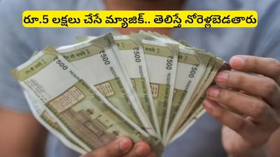 Investment Plan: రూ.5 లక్షలతో రూ.కోటి 50 లక్షలు.. ప్రతి నెలా లక్షా 75 వేలు పొందొచ్చు! డబ్బు మీ కోసం పని చేస్తే ఇలా ఉంటుందంటే..