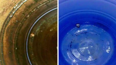 पानी की टंकी मुफ्त में साफ करें: इसे चमकाने के लिए आसान DIY टिप्स.