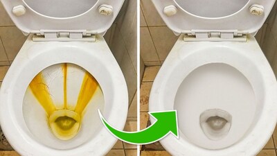 कॉफी ग्राउंड टॉयलेट हैक खतरनाक: विशेषज्ञ चेतावनी देते हैं, पाइप हो सकते हैं ब्लॉक.