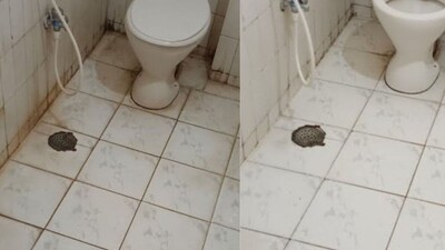 सिर्फ 1 रुपये में चमकाएं अपना बाथरूम: स्वस्थ और केमिकल-मुक्त सफाई के आसान टिप्स.