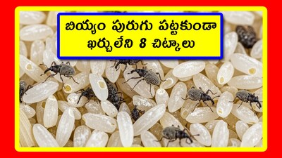 How to Store Rice: ఈ సీజన్ అలాంటిది. బియ్యం త్వరగా పురుగుపడుతుంది. మరి అలా జరగకుండా ఉండాలంటే.. మనం కొన్ని చిట్కాలను పాటించవచ్చు. ఐతే.. అవి ఖర్చుతో కూడినవి అవ్వకూడదు. సింపుల్‌గా ఉండాలి. అలాంటి 8 చిట్కాలను ఇఫ్పుడు చూద్దాం.