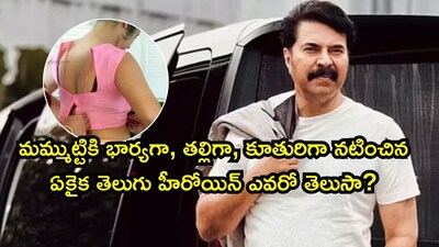 मीना का अनोखा रिकॉर्ड: मम्मूटी की बेटी, प्रेमिका और माँ बनीं ऑन-स्क्रीन.