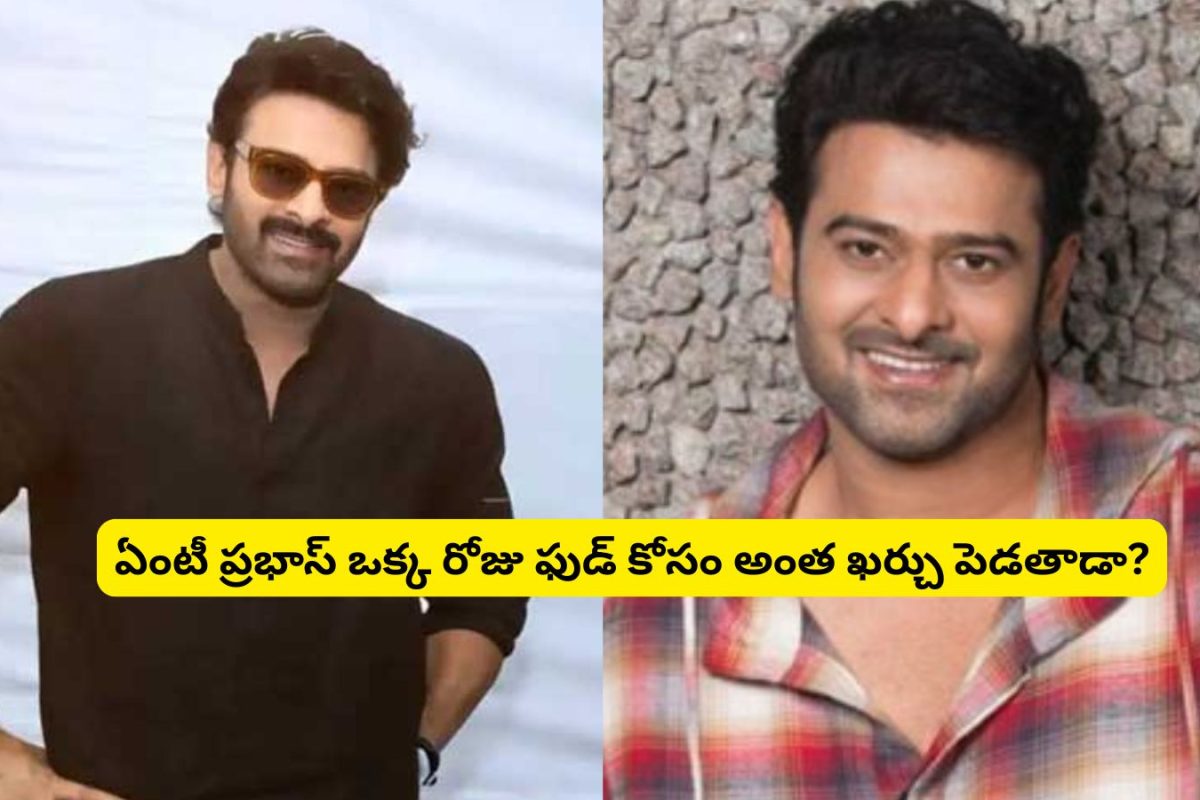 Prabhas: ప్రభాస్ ఒక్క రోజు ఫుడ్ ఖర్చు ఎంతో తెలుసా?.. ఏంటన్నా మేము 2 ఏళ్లలో తినేది నువ్వు ఒక్క రోజులోనే ఖర్చు పెడుతున్నావా?