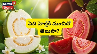 लाल बनाम सफेद अमरूद: आपकी सेहत के लिए कौन सा अमरूद बेहतर है?