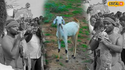 Jatara Animal Cruelty