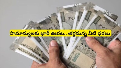 Budget 2026 Impact: బడ్జెట్ ఎఫెక్ట్.. భారీగా తగ్గనున్న వీటి ధరలు!