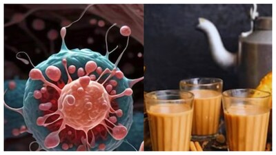 Cancer: టీ ఇలా తాగితే క్యాన్సర్ నుంచి ఈజీగా తప్పించుకోవచ్చు.. అలా చేయకపోతే మిమ్మల్ని దేవుడు కూడా కాపాడలేడు