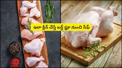 बर्ड फ्लू का डर? चिकन को ऐसे करें साफ: सुरक्षित सेवन के लिए विशेषज्ञ के सुझाव.